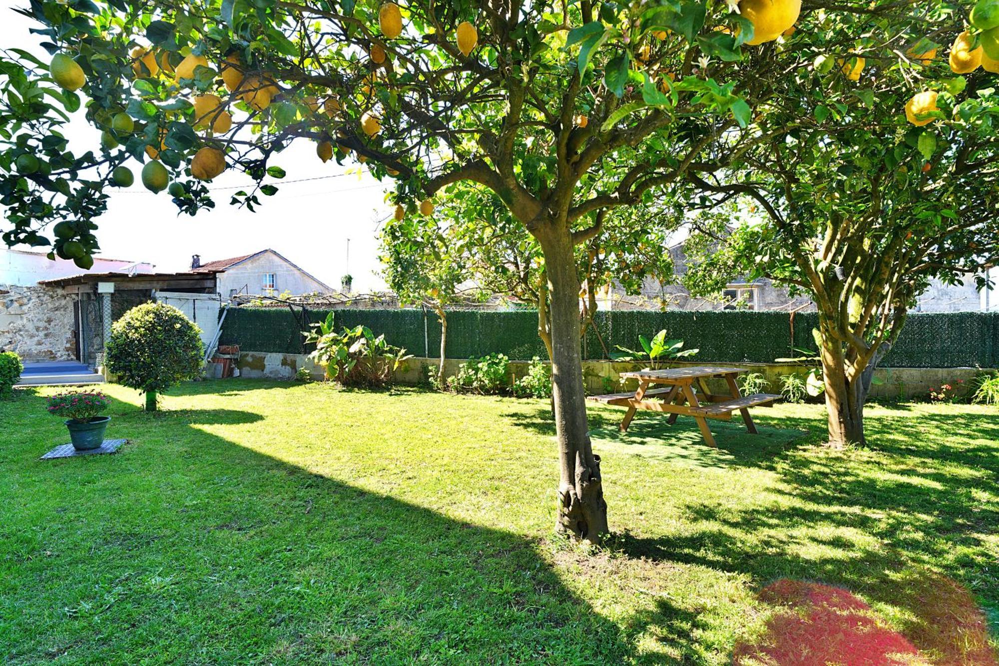 Casa Con Jardin En Vilanova De Arousa 庞特维德拉 外观 照片